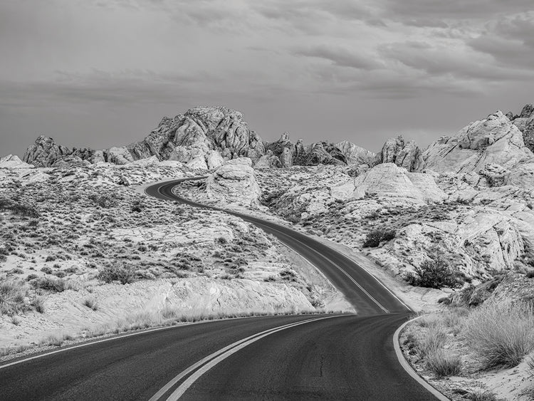 Camino sinuoso nevada Lienzo