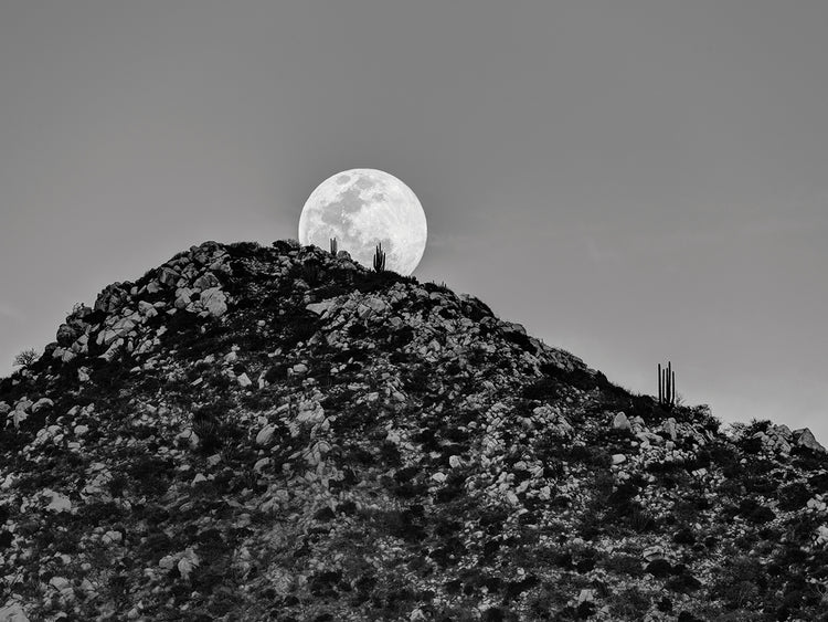 Baja Moon Rising