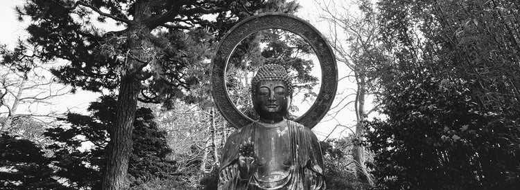Buda del jardín de té Lienzo