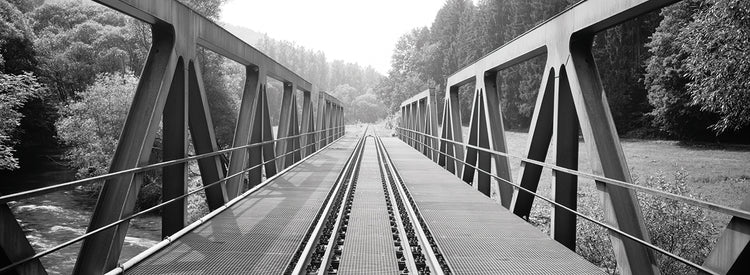 Puente forestal alemán Lienzo