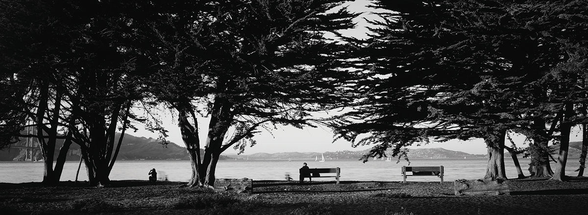 San Francisco Peaceful Park