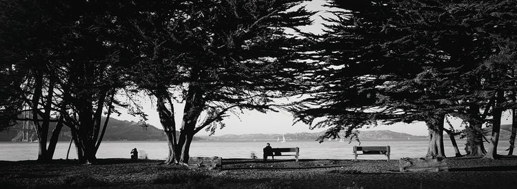 Parque pacífico de San Francisco Lienzo