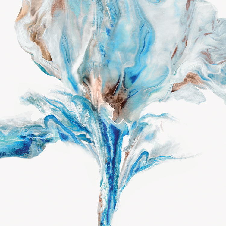 Morning Glory Light II