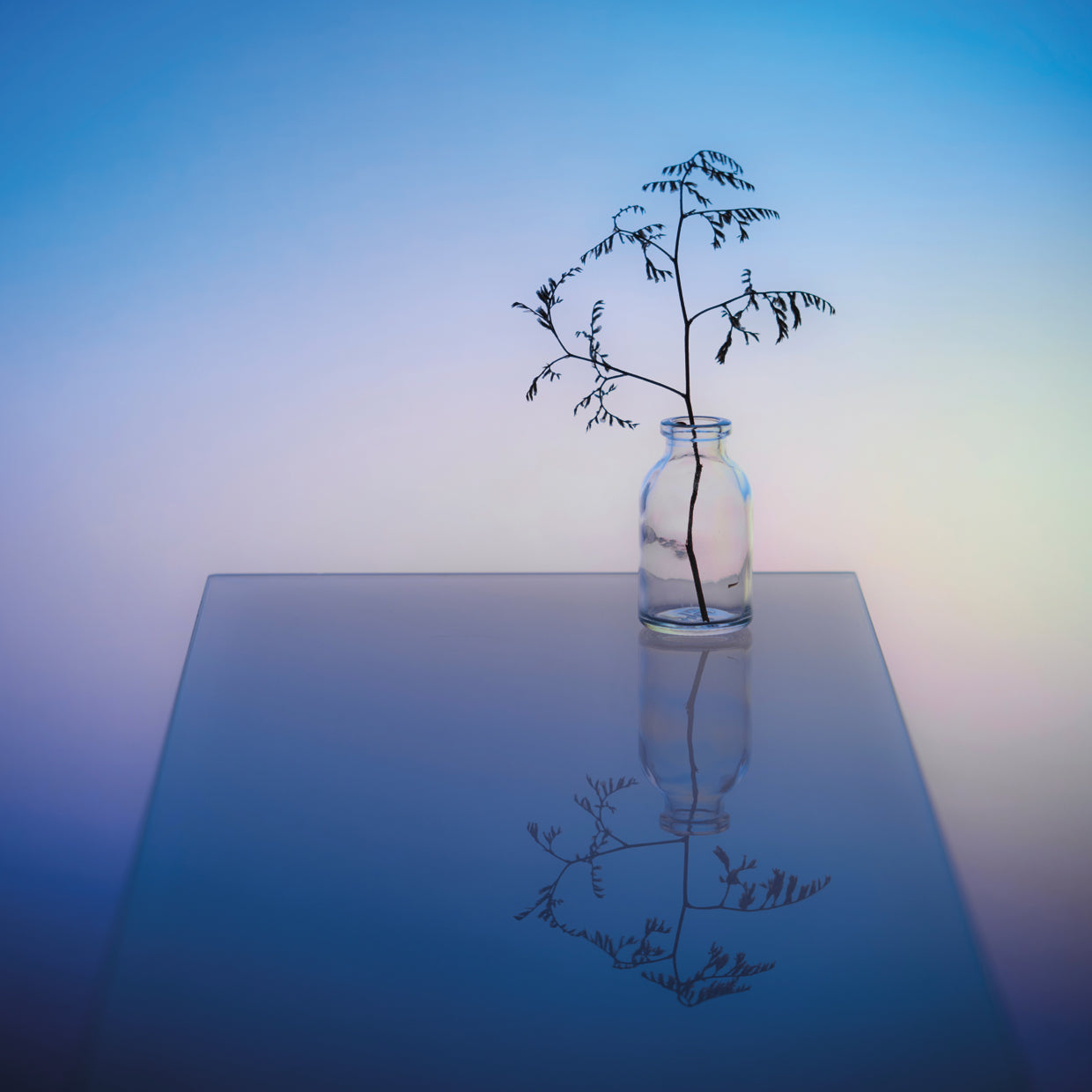 Selezenev - Untitled