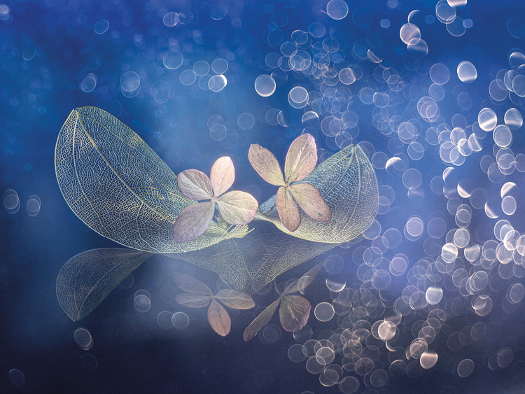 Kopcev - Fairytale fantasy