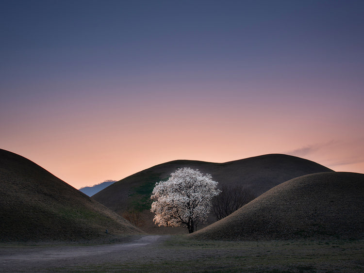 Bmoon - King's grave