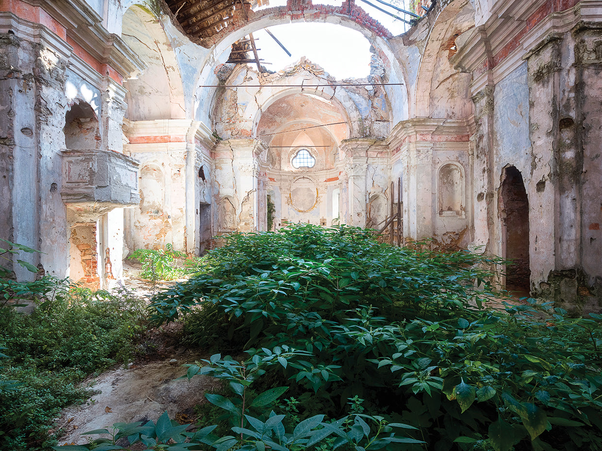Nature Taking over Church