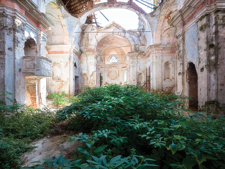 Nature Taking over Church