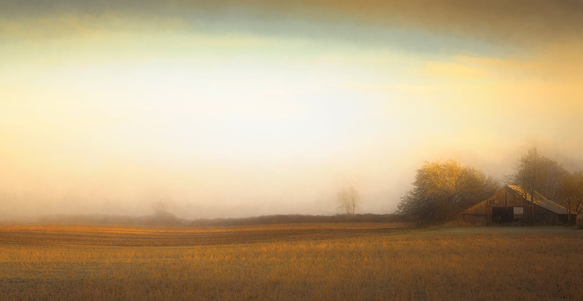 Barn on a Foggy Morning