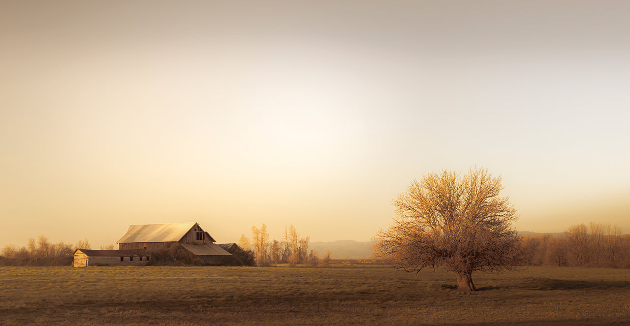 Barn at the End of the Road