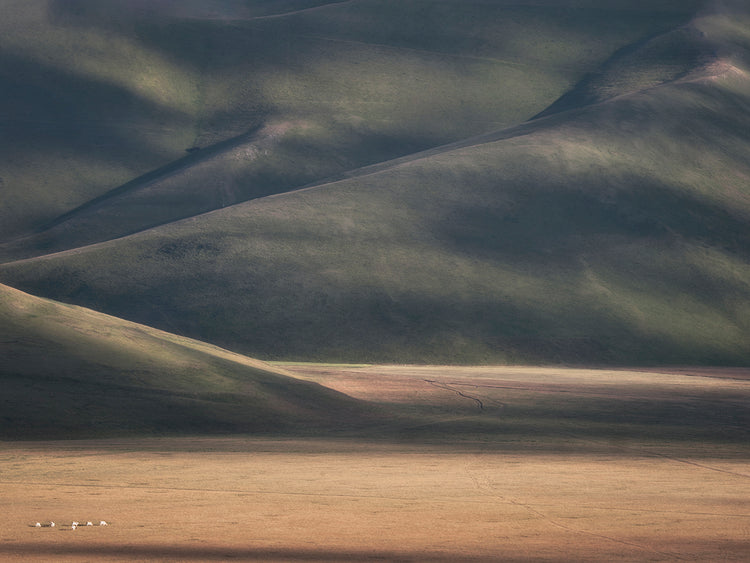 Marchegiani - Bucolic Landscape