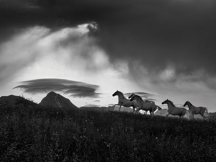 Malovrh- Before the storm