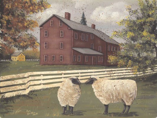 Hancock Sheep Canvas Print