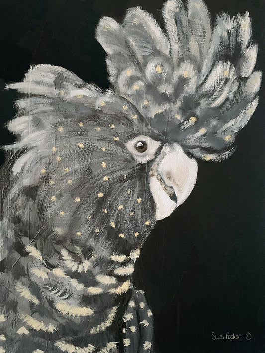 Gray Cockatoo Canvas Print