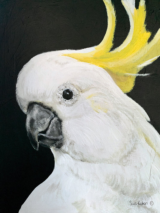 White Cockatoo Canvas Print
