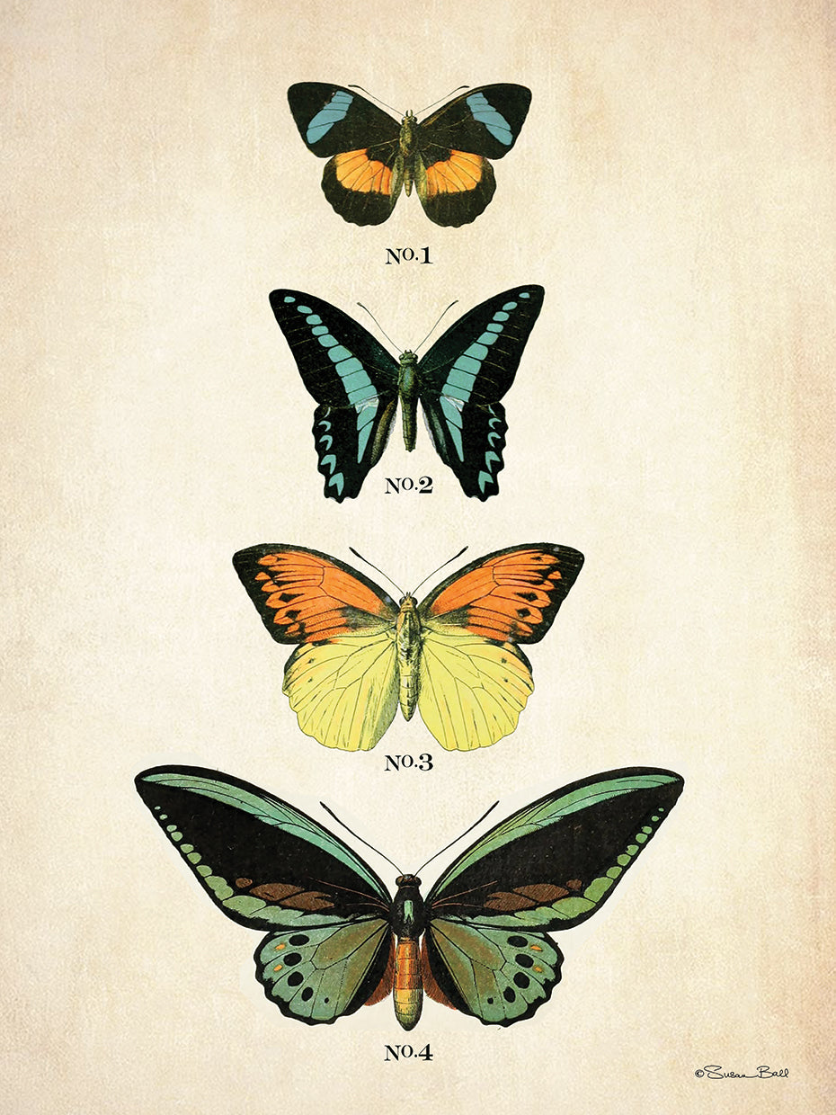Butterflies 2