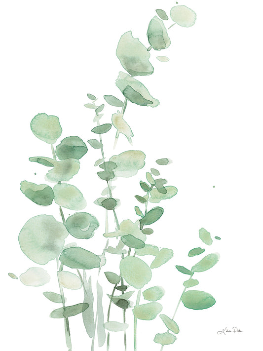 Eucalyptus I Canvas Print