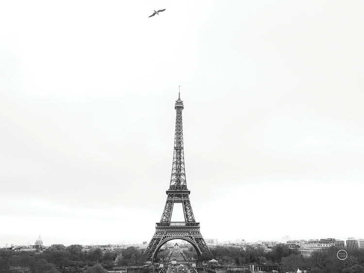 A Birds View of Paris