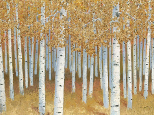 Forest of Gold Canvas Print