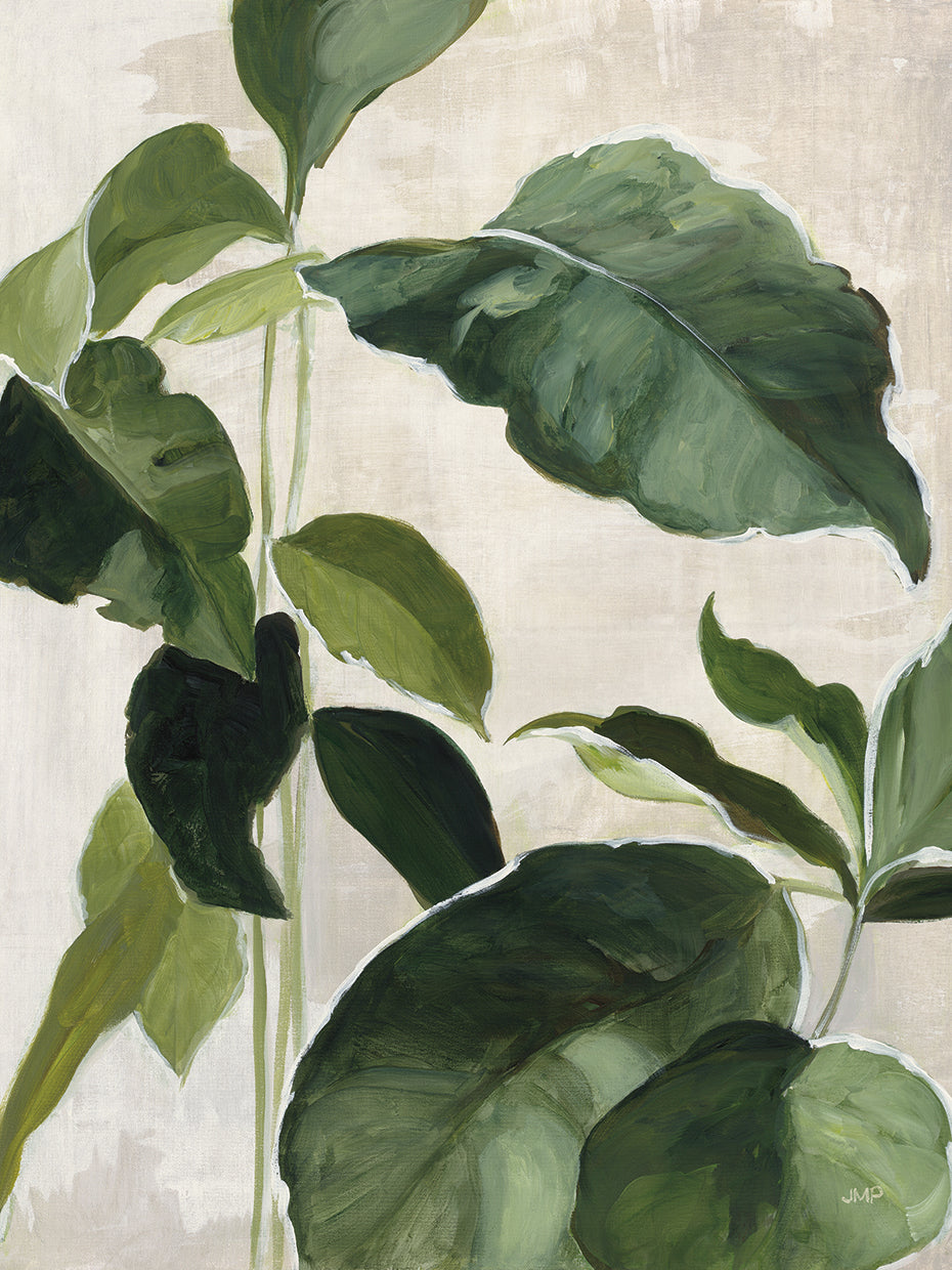 Tropical Study II