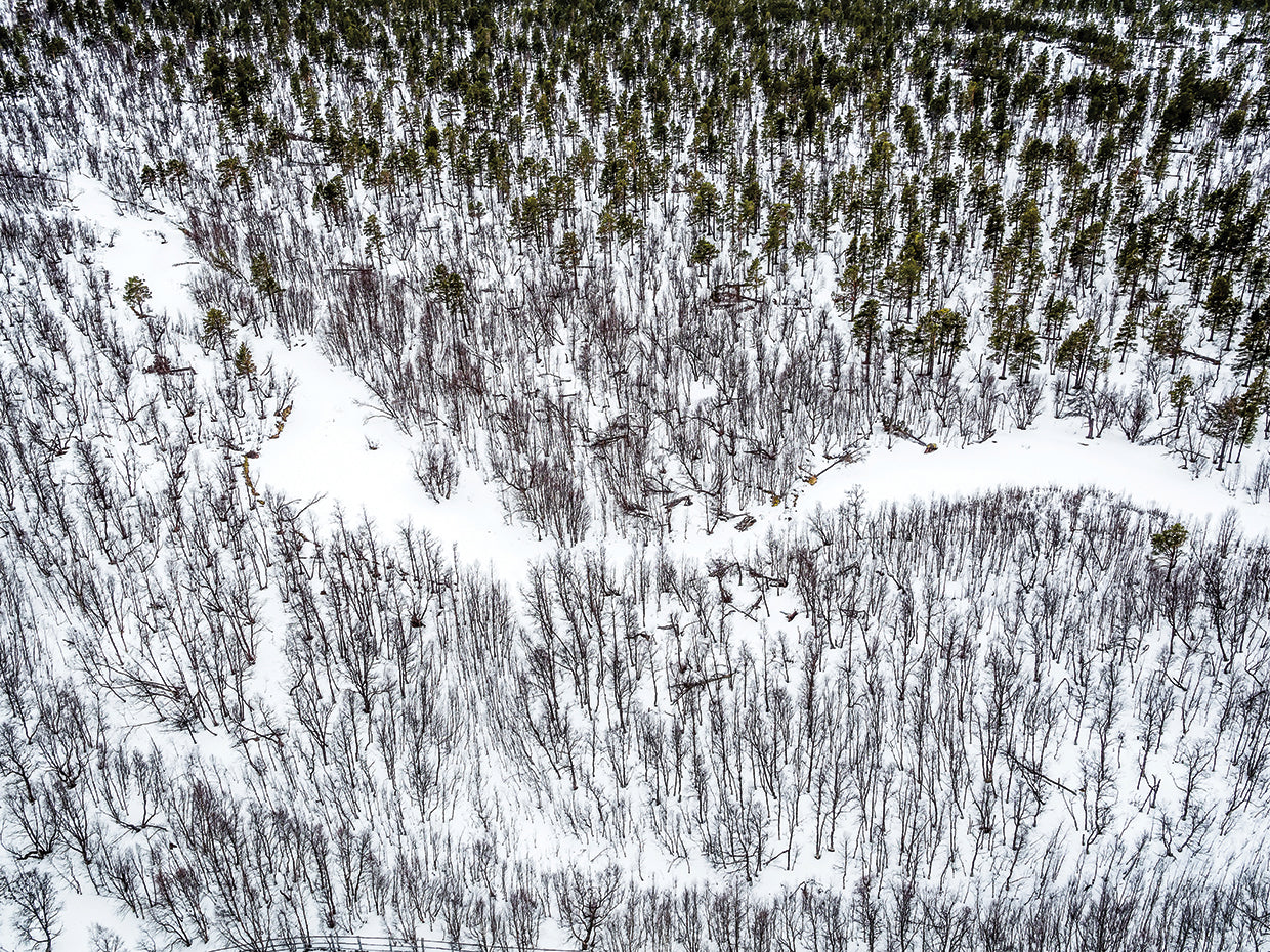 Swedish National Park