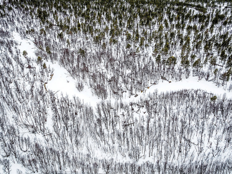 Swedish National Park