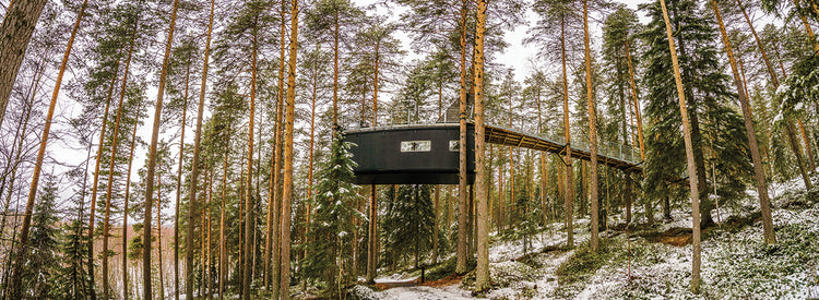 Hotel North Woods Lienzo