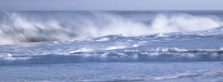 Playa Todos Santos Lienzo
