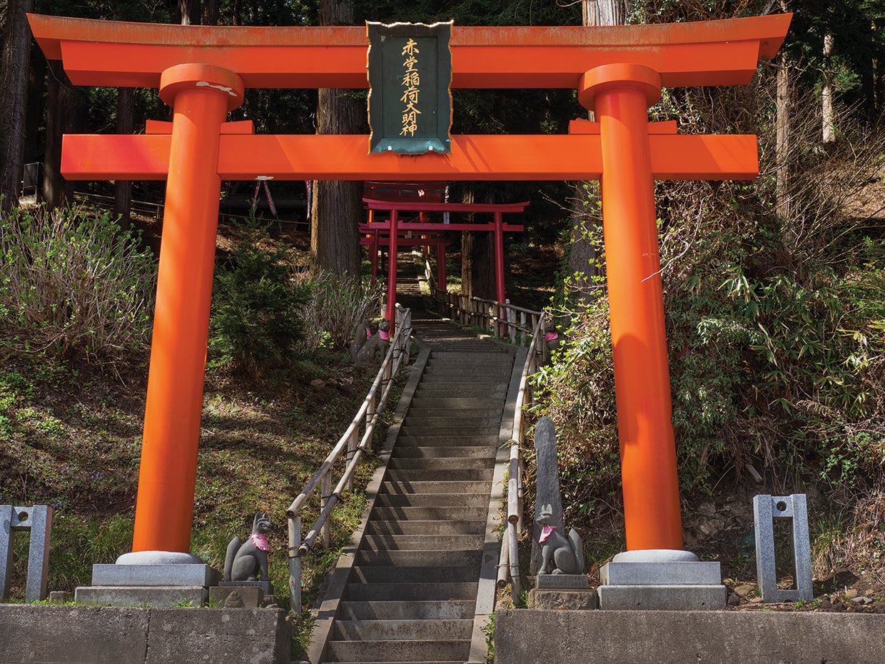 Puertas japonesas Lienzo