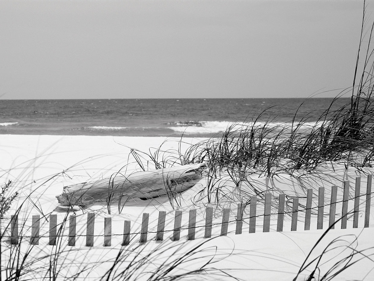 Alabama Beach Fence