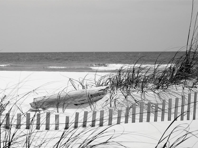 Alabama Beach Fence