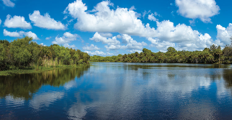 Nubes de Florida Creek Lienzo