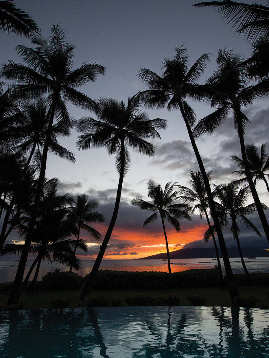 Lahaina Dusk Palms