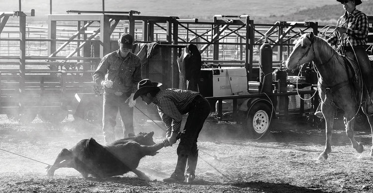Utah Cowboys at Work