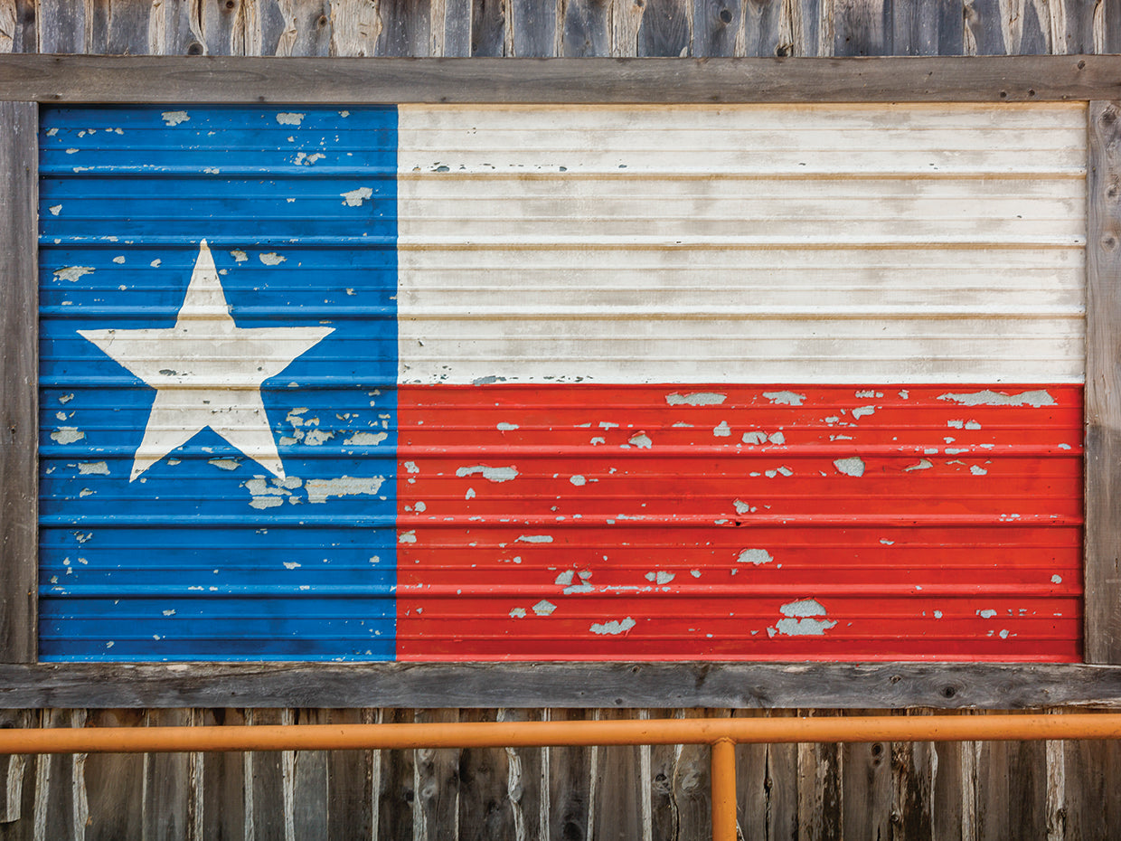 Bandera de Freedom Lone Star Lienzo