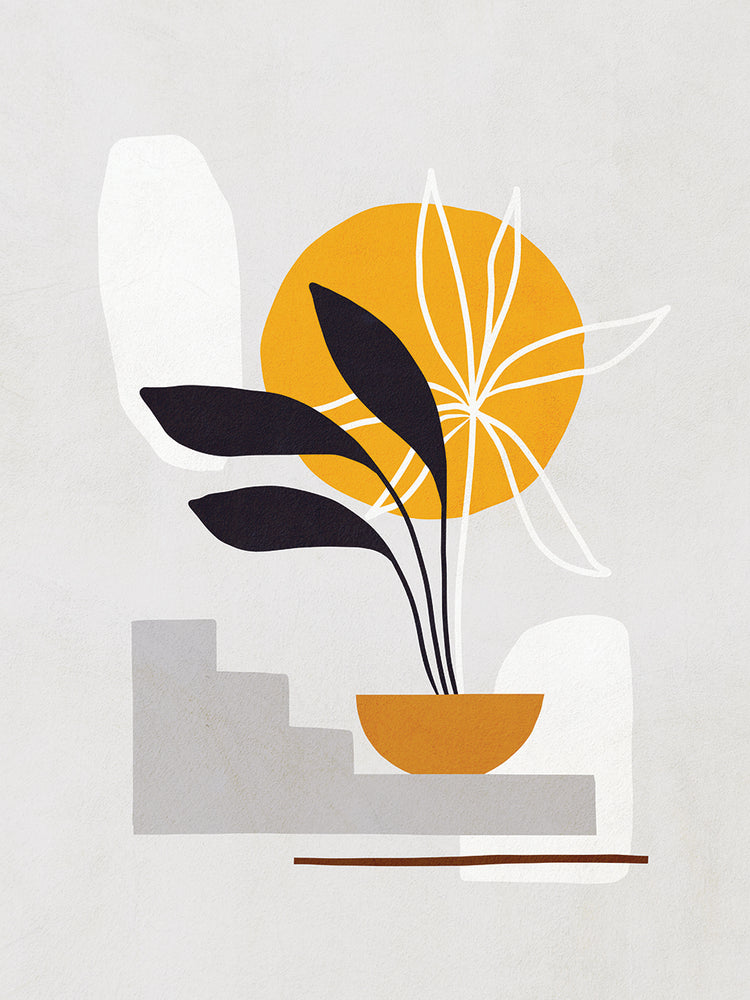 The Shapes of Nature 3