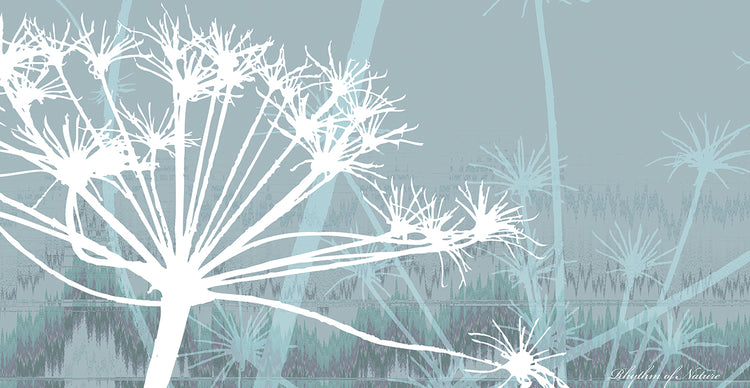 Wildflowers 3