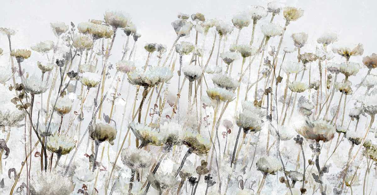 Marissa's Meadow