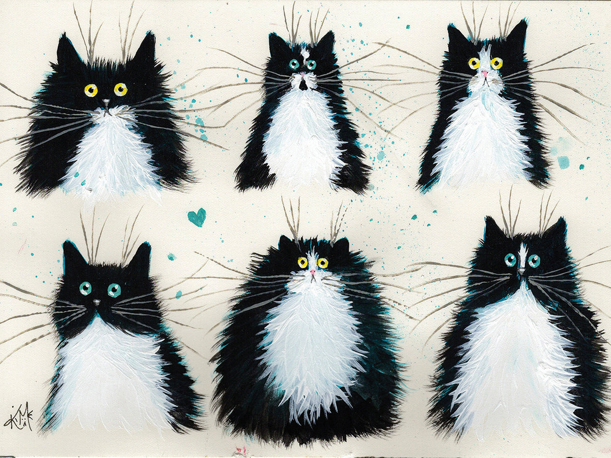 Tuxedo Cats