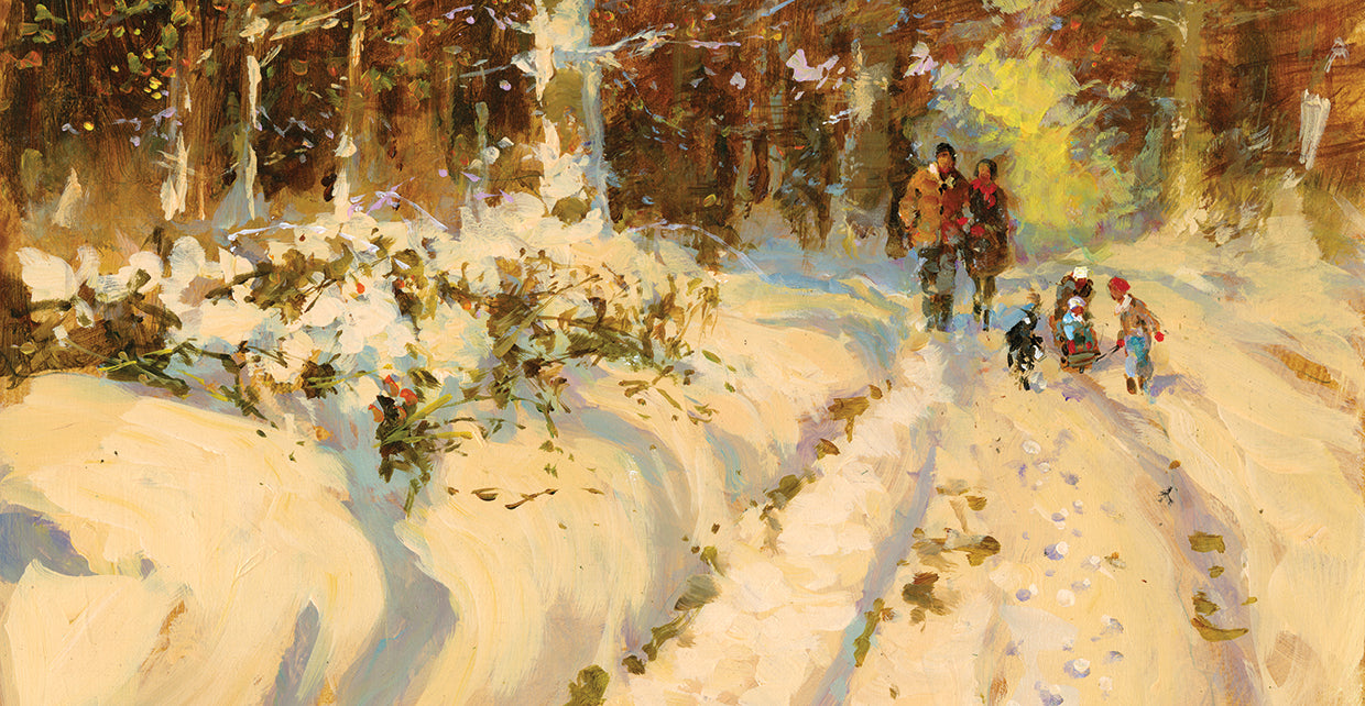 Sunshine And Snow A Walk In The Woods