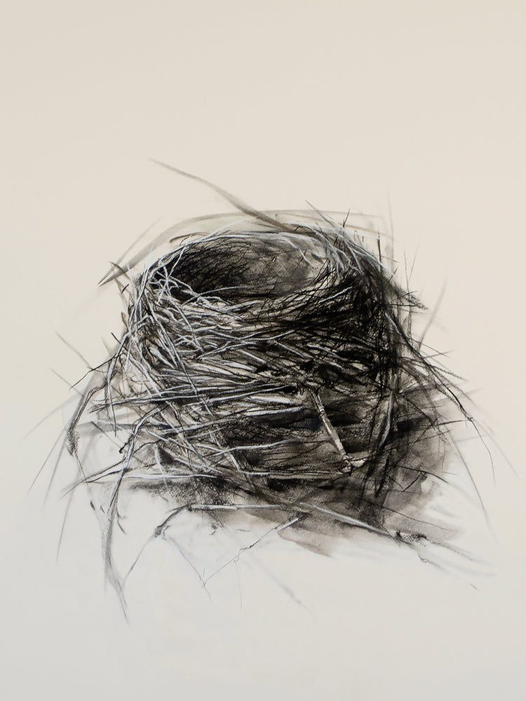 Nest