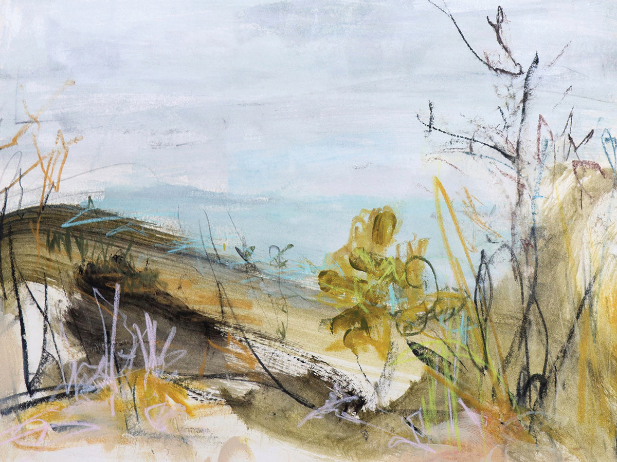 Over The Dune, Clarkes Beach