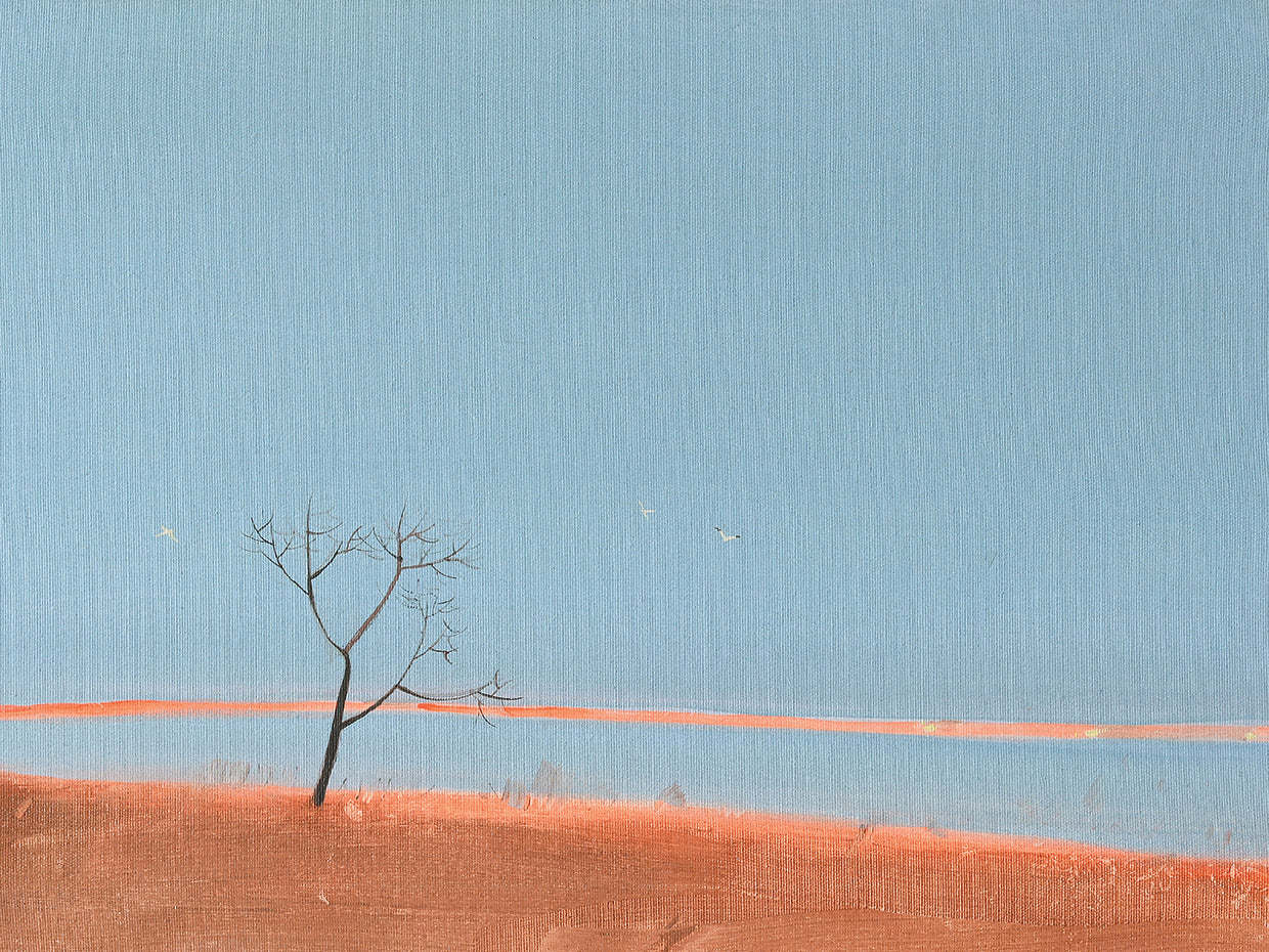 Last Rays of The Sun