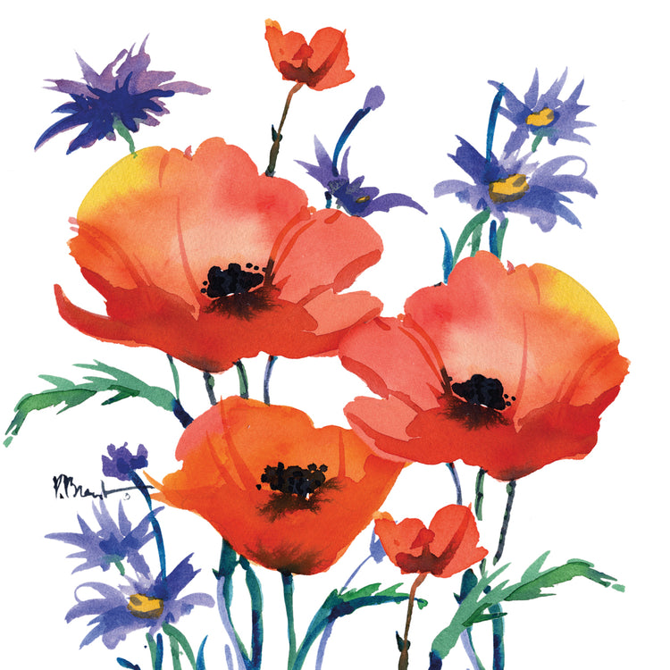 Amapolas naranjas – Cuadrado Lienzo