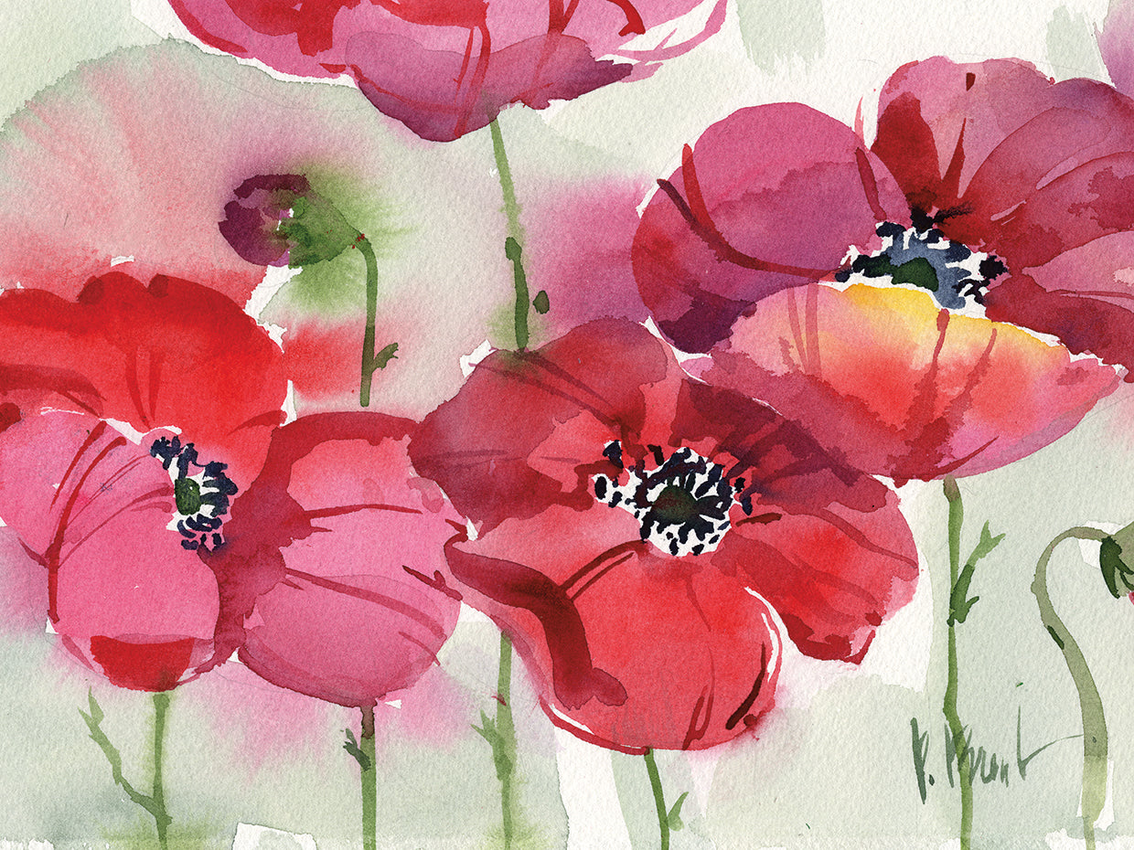 Amapolas frescas Lienzo