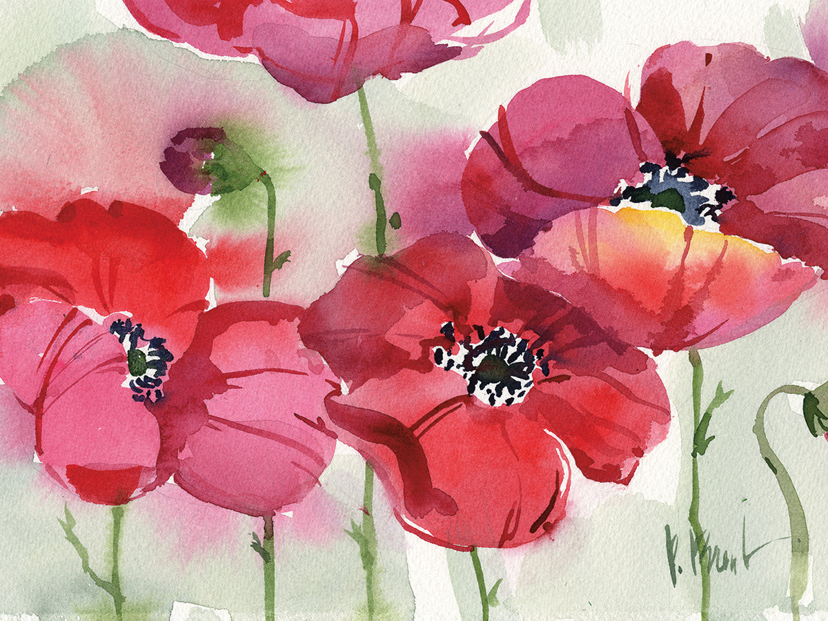 Fresh Poppies