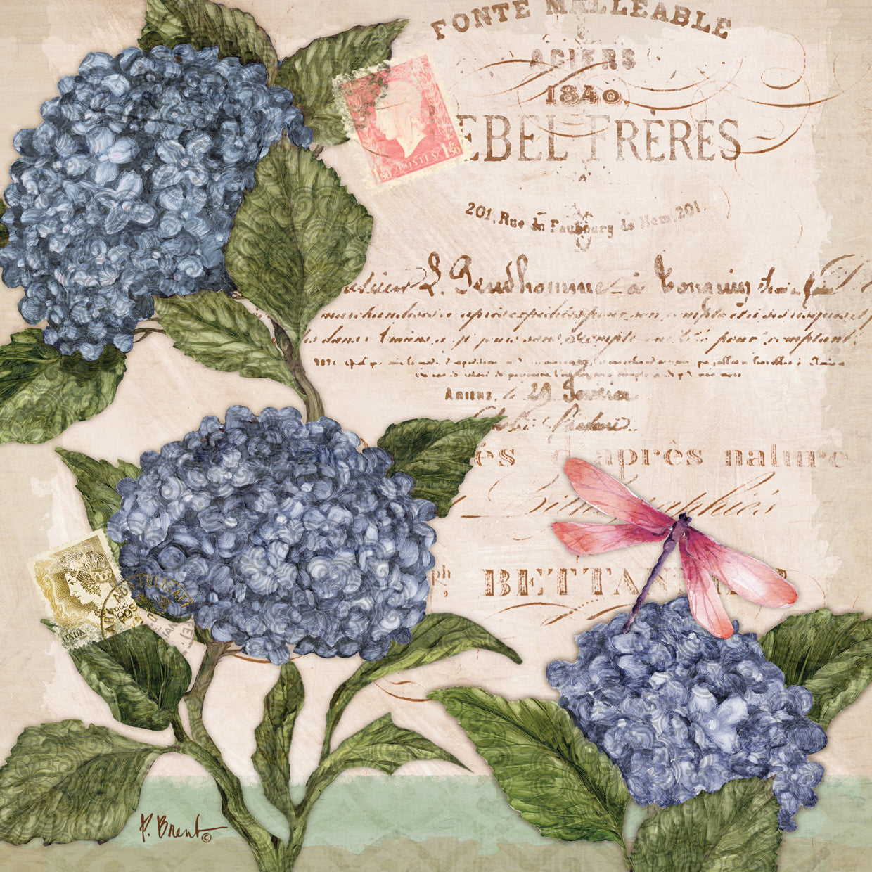 Parisian Hydrangeas I