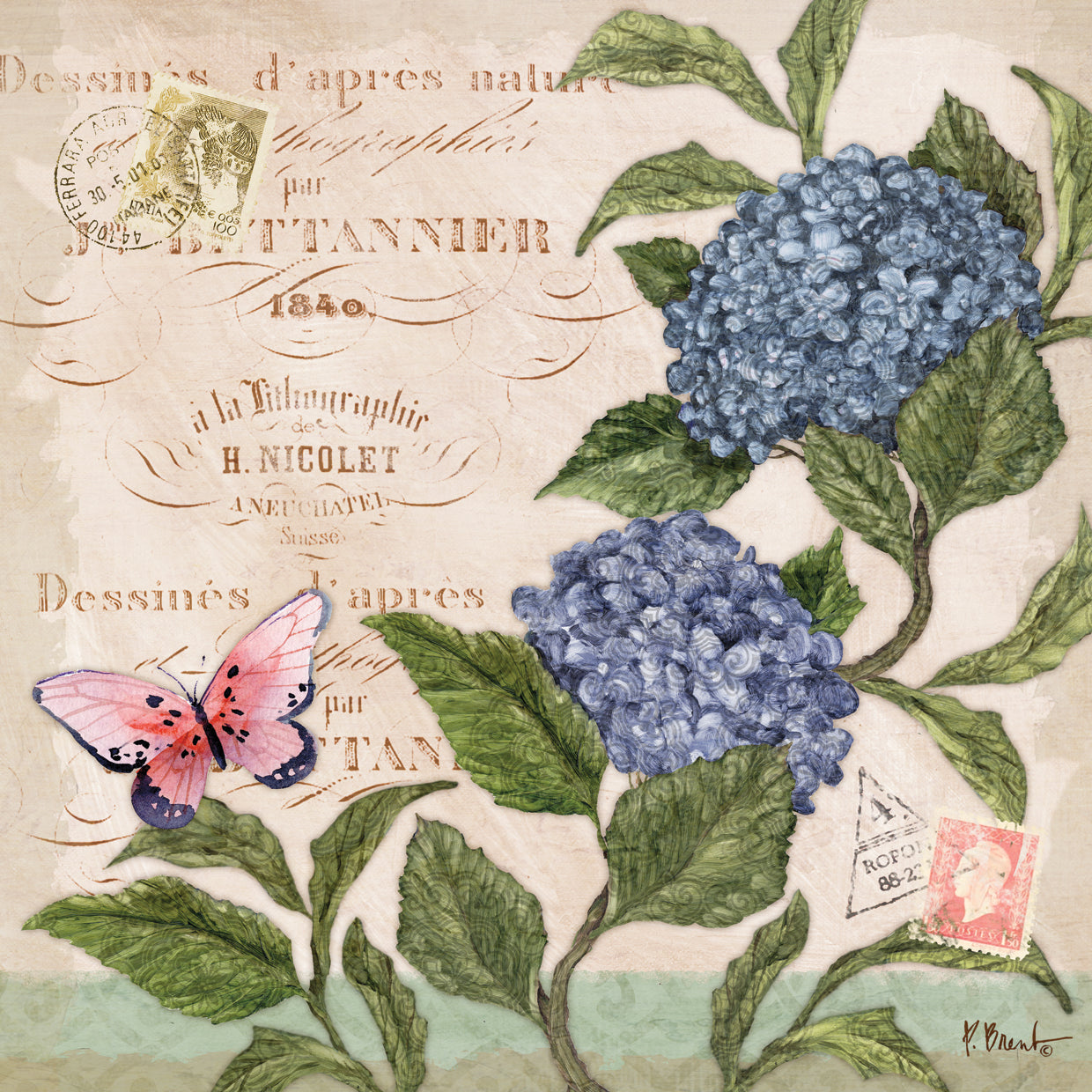 Parisian Hydrangea II