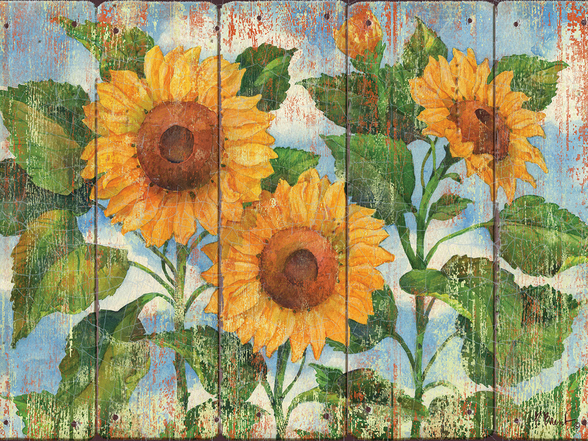 Summer Sunflowers – Distressed