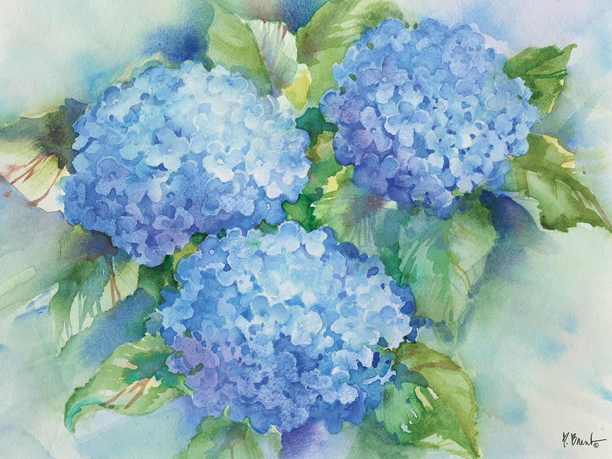 Sky Blue Hydrangea